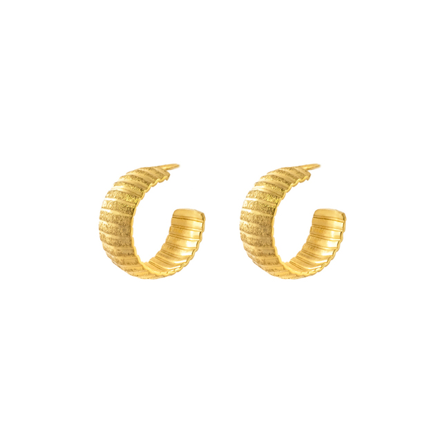 Women's Earrings Sunlight 03X05-02789 Oxette Silver 925-Gold Plated Rings With Lines 1.6 Cm