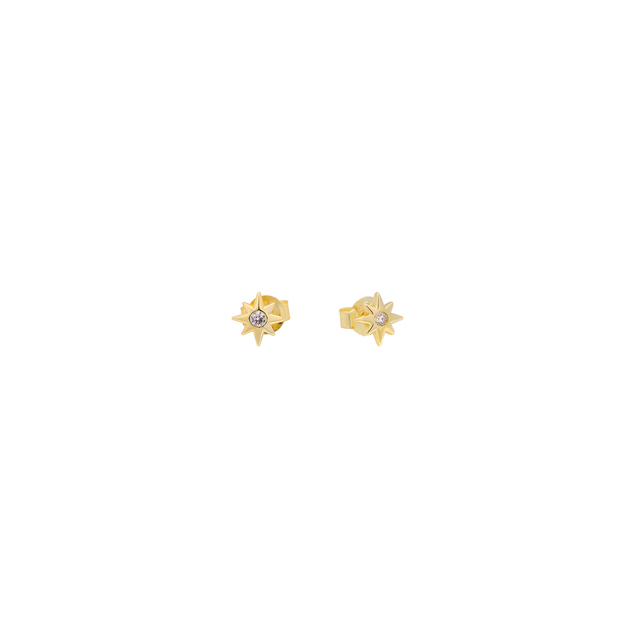 Women's Stud Earrings Star Silver 925-Zircon Gold Plated 2TA-SC146-3 Prince