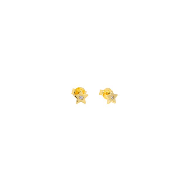 Women's Stud Earrings Star Silver 925-Zircon Gold Plated 2TA-SC148-3 Prince