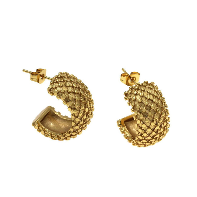 Women's Earrings Medium Hoops Textured Finish 316L Steel 303101585