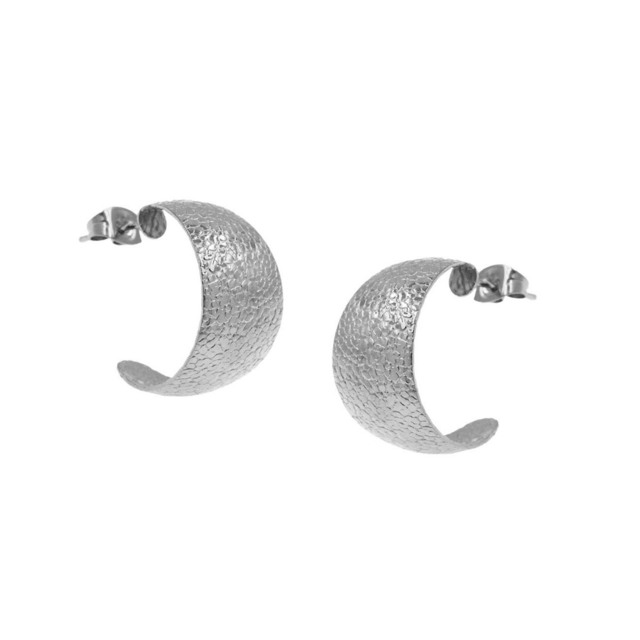 Women's Hoop Earrings Surgical Steel 303101664.002