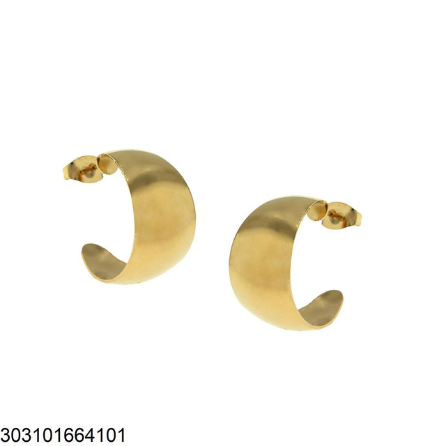 Women's Hoop Earrings Surgical Steel-Gold IP 303101664.101