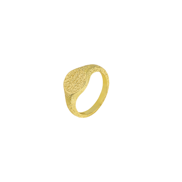 Γυναικείο Δαχτυλίδι Boho Ασήμι 925-Επιχρυσωμένο 3ZK-RG153-3 Prince