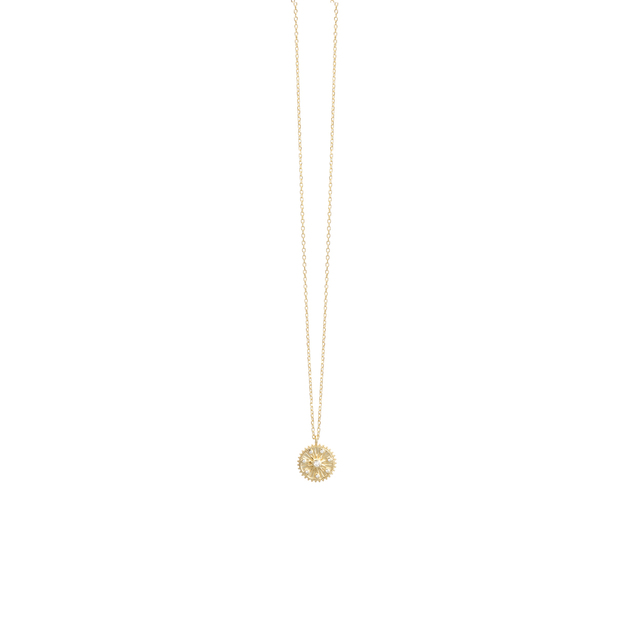 Women's Necklace Round Rosette Silver 925 With Gold Plating IP-Zirconia 6F-KD128-3 Prince
