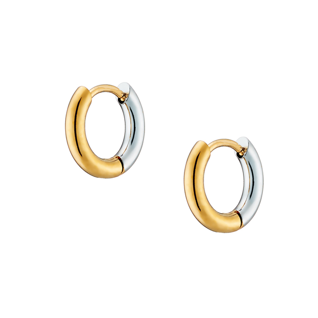 Women's Two Tone Hoop Earring Steel 316L  NE-02353 Artcollection