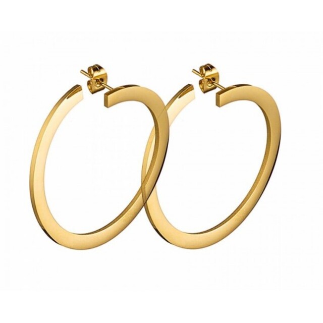 Women's Medium  Hoop Earrings Glossy Steel 316L Gold IP N-01994G Artcollection