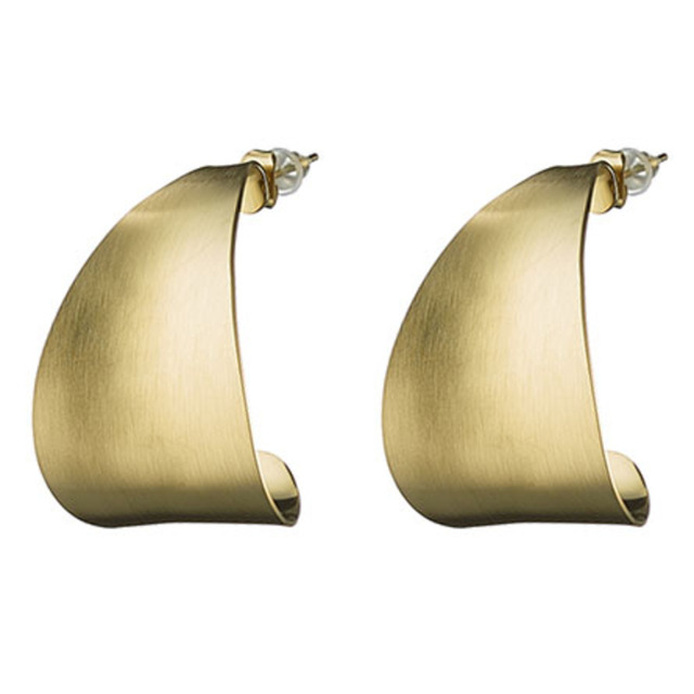 Women's  Hoop Earrings Matte Steel 316L Gold IP N-02125G Artcollection