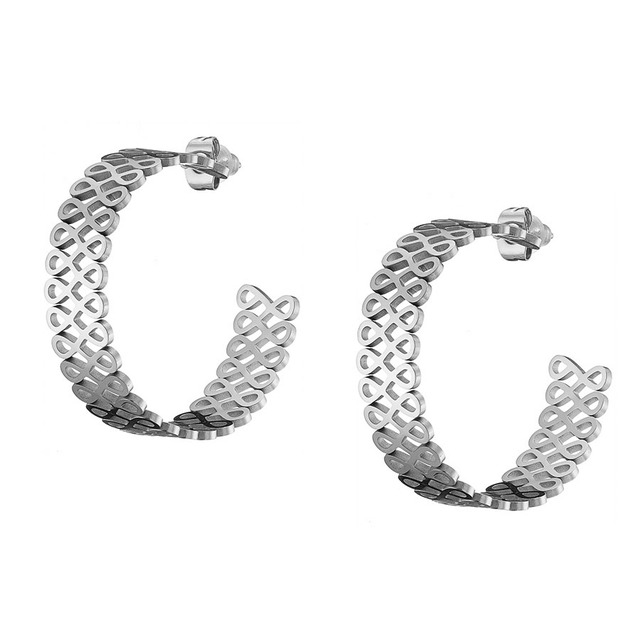 Womens earrings hoops surgical steel  N-02176