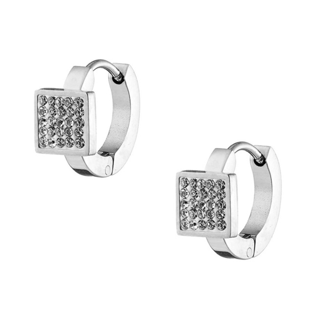 Womens Hoop Earrings - Crystals Steel 316L N-02217  Artcollection