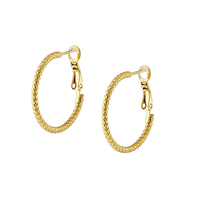 Γυναικεία Σκουλαρίκια Κρίκοι Ατσάλι 316L N-02231 Artcollection