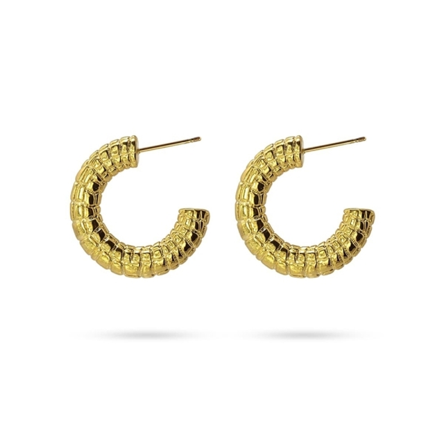 Women's Flat Hoops Anartxy CPE447 Gold Plated