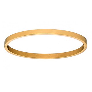 Woman bangle thin oval bracelet steel  gold N-000931G