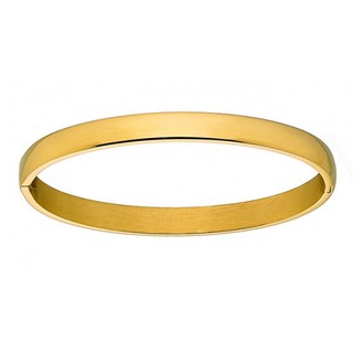 Woman bangle oval bracelet steel  gold N-000934G