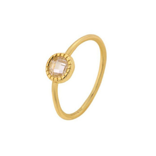 Women's Ring Single Stone-White Zircon Silver 925 Gold Plated 1A-RG191-3 Prince