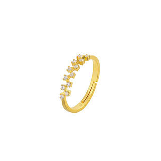 Γυναικείο Δαχτυλίδι Με Ζιργκόν Επιροδίωση Ασήμι 925 2A-RG204 Prince