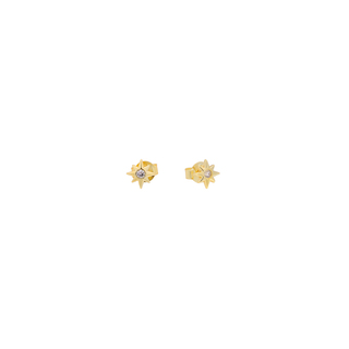 Γυναικεία Καρφωτά Σκουλαρίκια  Αστέρι Ασήμι 925-Ζιργκόν Επιχρύσωση 2TA-SC146-3 Prince