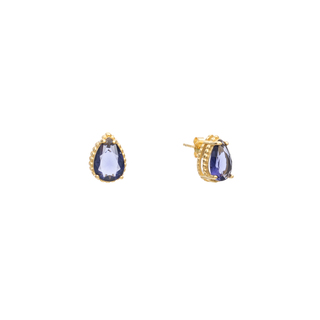 Women's Stud Tear Rosette Earrings Silver 925-Gold Plating Zircon 3A-SC538 Prince