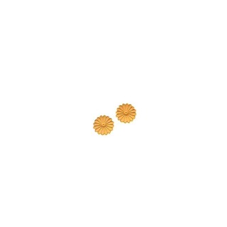 Γυναικεία Σκουλαρίκια Αρχαίος Ρόδακας Ασήμι 925-Επιχρύσωση 50420 Arteon