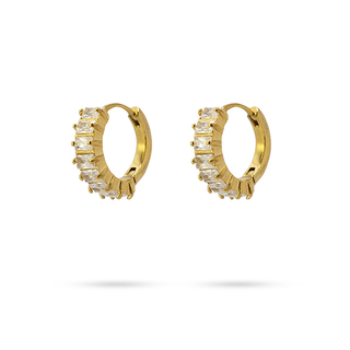 Women's Hoop Earrings With Zircon Steel-Gold Plated CPE481 Anartxy