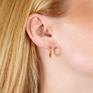 Women's Hoop Earrings Sparkle Lixia With Brown And Champagne Zircons Steel-Gold Plated DPE272C15 Anartxy