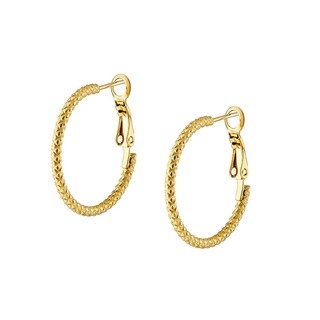 Γυναικεία Σκουλαρίκια Κρίκοι Ατσάλι 316L N-02231 Artcollection