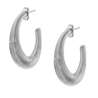 Women's Hoop Earrings  Surgical Steel 316L N-02296 Artcollection