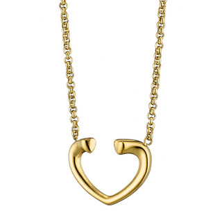 Women's Necklace Heart Steel 316L-Gold IP N-07141G Artcollection