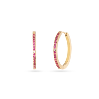 Women's Hoop Earrings Sparkle Zirelle DPE273 Anartxy Steel-Gold Plating IP And Colored Zirconia