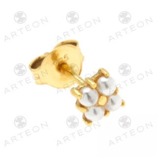 Γυναικείο Καρφωτά Σκουλαρίκια 51302 Arteon Ασήμι 925-Επιχρύσωση-Μαργαριτάρι